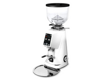 Load image into Gallery viewer, Fiorenzato F4 Evo Pro Coffee Gear
